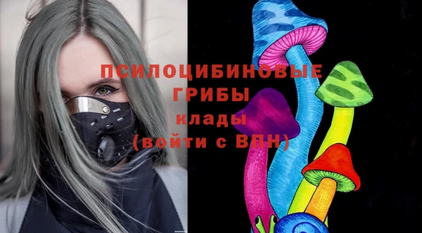 мдпв Сатка