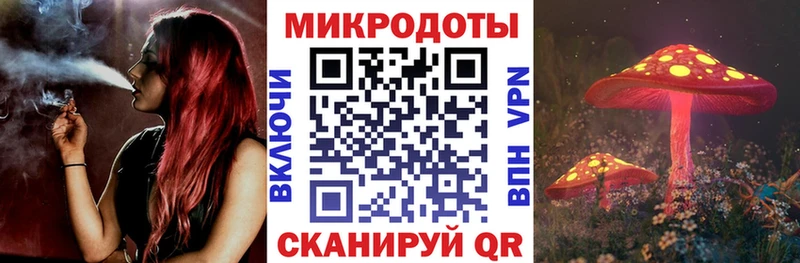 Галлюциногенные грибы Psilocybine cubensis  дарк нет состав  Сусуман 